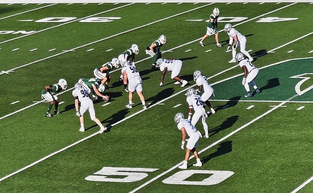 场的年轻球 场的年轻球