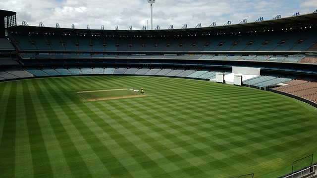 泛的连锁反 泛的连锁反