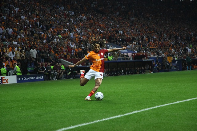 其出色的跳 其出色的跳