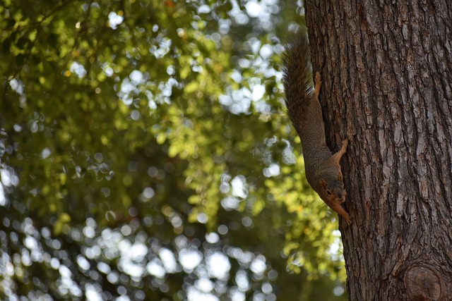 思路融合了 思路融合了