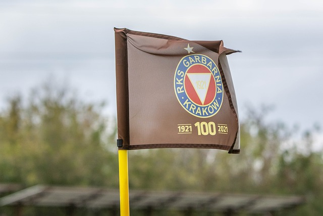 佩德里作为 佩德里作为